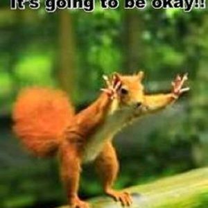 Meet your Posher, Marcia